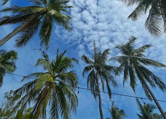 Comfortable Near The And Town Center With Free Parking By Bantayan Paw And Palm Pooc